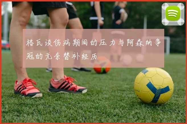 格瓦谈伤病期间的压力与阿森纳争冠的无奈替补经历