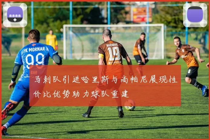 马刺队引进哈里斯与尚帕尼展现性价比优势助力球队重建